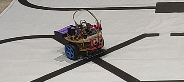 photo of complex line follower